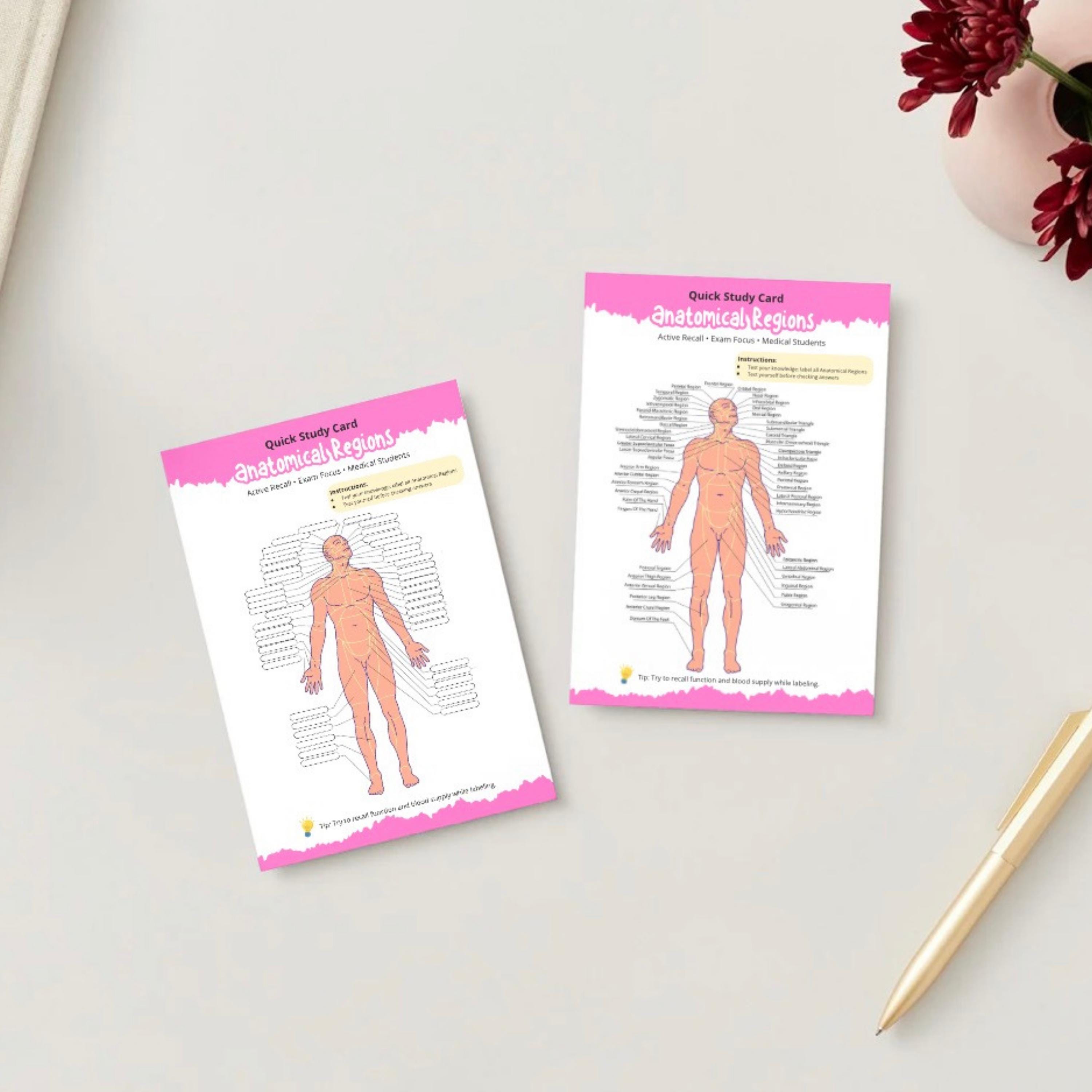 Push Body Labeling Anatomy Worksheet – Human Body Labeling Activity | Anatomical Regions ...