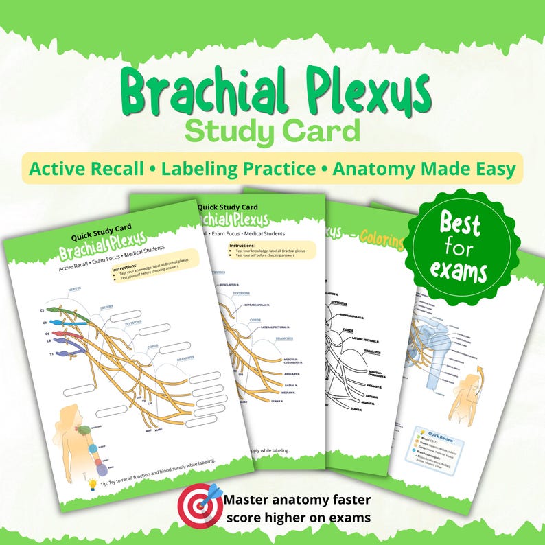 Plexus Balance Chart.pdf Brachial Plexus Study Guide, Anatomy Worksheet, Labeling Practice ...