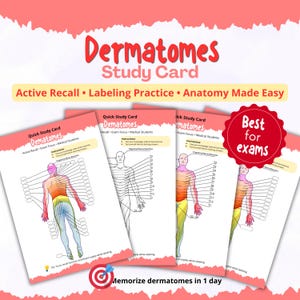 Dermatomes Study Card Printable PDF | Labeling Practice Anatomy | Active Recall Nursing Students | Anatomy Exam Prep