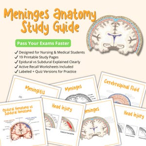 Może przedstawiać: Przewodnik do nauki dla studentów pielęgniarstwa i medycyny, z tekstem "Meninges anatomy Study Guide". Obraz zawiera schematy mózgu i kilka stron do nauki z tytułami takimi jak "Meningitis" i "Head Injury".