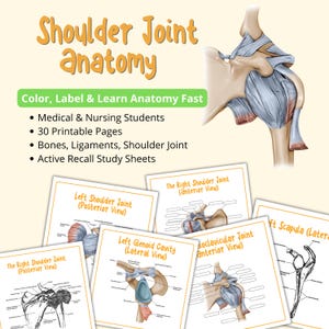 Pode incluir: Conjunto educativo Shoulder Joint Anatomy com 30 páginas imprimíveis para estudantes de medicina e enfermagem. Inclui diagramas de ossos, ligamentos e articulações do ombro com folhas de estudo de recordação ativa. Texto: Shoulder Joint Anatomy.