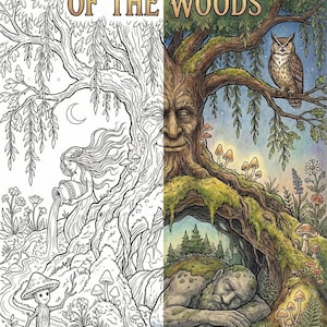 May include: A detailed illustration with the text "ANCIENT GUARDIANS OF THE WOODS". The image depicts a tree with a face, an owl, a sleeping giant, and other fantastical elements. The artwork is partially colored and partially a line drawing.