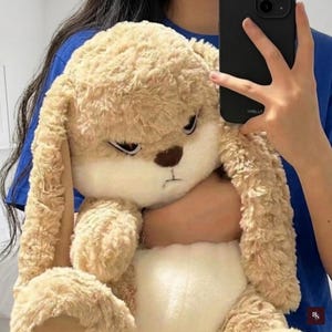 Könnte beinhalten: Ein beiges Plüschkaninchen mit langen Ohren und einem leicht mürrischen Gesichtsausdruck. Das Stofftier hat eine braune Nase und einen weißen Bauch. Das Spielzeug ist weich und flauschig. Ein niedliches und kuscheliges Plüschtier.