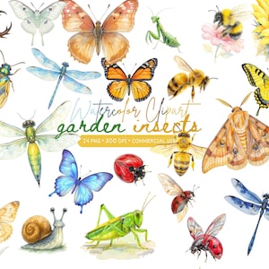 May include: Watercolor clipart featuring a variety of garden insects, including butterflies, bees, dragonflies, and beetles. The image includes the text "Watercolor Clipart garden insects". The illustrations are in vibrant colors.