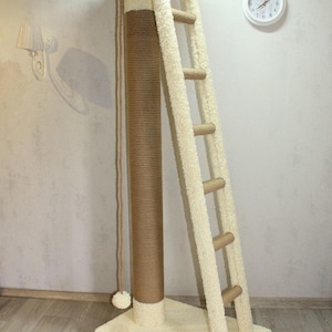 May include: A cream-colored cat tree with a sisal-wrapped scratching post, a ladder, and a top perch. The cat tree has a soft, plush texture and a dangling toy. The ladder has wooden rungs. A white clock hangs on the wall.