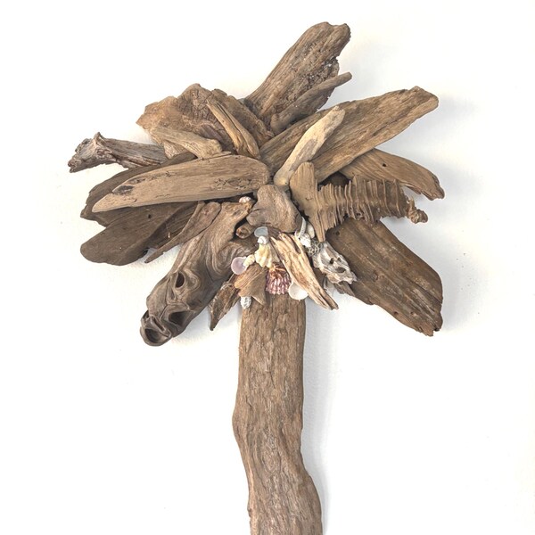 Driftwood palm tree
