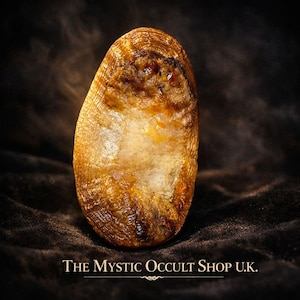 May include: A close-up of a golden-brown, oval-shaped object with a textured surface. The object has a lighter, almost white, center and darker brown edges. The text "THE MYSTIC OCCULT SHOP U.K." is at the bottom.