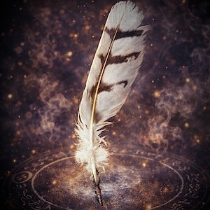 Pluma ritual de búho • Ulluk Kalam – Talismán de protección con hechizos paganos de Wicca, amuleto mágico, vial de Mojo, varita, atrapasueños, Diwali, Laxmi Puja