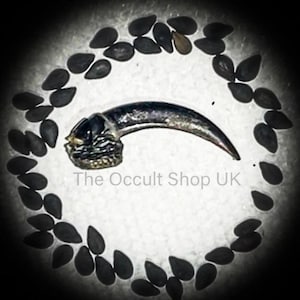 May include: A set of three ceramic mugs with a speckled, cream-colored glaze. Each mug features a different hand-painted floral design in shades of blue, green, and yellow. The mugs have a simple, rounded shape and a comfortable handle.