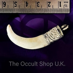 Puede incluir: Un colgante con un diente curvo blanquecino y una tapa decorativa de metal plateado. El diente mide aproximadamente 7,6 cm de largo. La tapa metálica tiene un diseño floral ornamentado. El texto "The Occult Shop U.K." es visible.