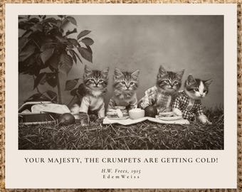 Victorian Cats Tea Party Photo | Funny Kittens Picnic Quote| Hostess and Admin Assistant Gift | Un/Framed & Digital Download