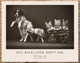 Victorian Cats Dog Cart Photo | Funny Hallway and Entryway Decor | Custom Quote Print | Unavailable Sign | Cat Lover Gift | Printed, Digital