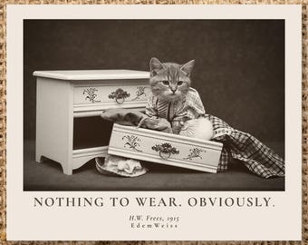 Nothing to Wear Sign | Vintage Cat Photo Print 1915 | Funny Closet Decor | Dressing Room Art | Custom Quote Print| Un/Framed & Digital