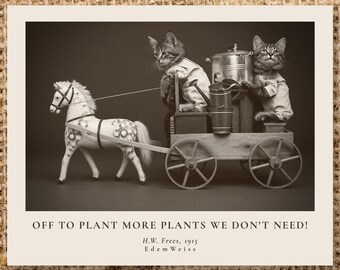 Victorian Cats Garden Photo | Plant Lover, Cat Mom Gift |  Garden Shed & Cottage Core Decor | Sarcastic | Custom Quote Print