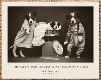 Vintage Dog Parents Photo | First Time Mom Gift |  Pets Lovers Quirky Retro Picture | Victorian Illustration | Framed & Digital