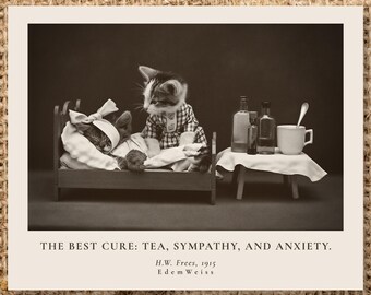 Sick Cat Photo | Get Well Soon | Funny Sympathy Gift | Thinking of You | Vet Clinic Nurse Week | Printed & Digital Download