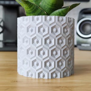 KINGLAKE 50 Pezzi Vasi per Piantine in Plastica 54mm