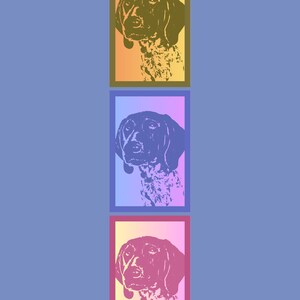 GSP Colorful Stickers