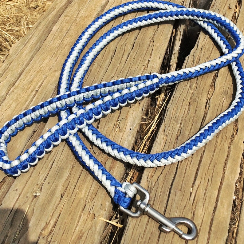 Paracord 8 Strand Round Braid Dog Leash Etsy