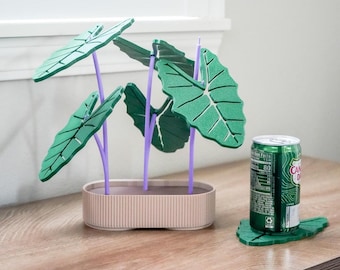 Taro Plant Coaster Set, 6 piece