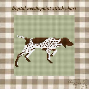 May include: Digital needlepoint stitch chart showing a brown and white dog design. The dog is in a pixelated style, on a light green background. The words "Digital needlepoint stitch chart" are at the top. The background has a plaid pattern.
