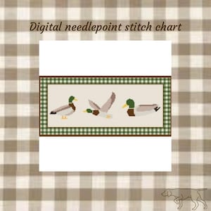 Gráfico de bordado de almohada de ánade real