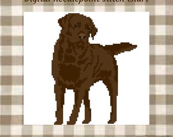 Chocolate lab digital needlepoint chart
