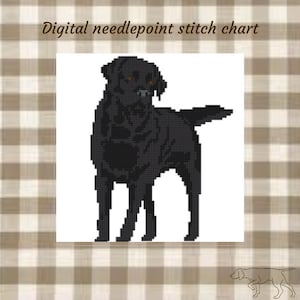以下が含まれることがあります： 黒いラブラドールレトリバー犬のデジタルニードルポイントステッチチャート。犬はピクセル化されたスタイルでレンダリングされ、白い背景に配置されています。画像は茶色とベージュの格子縞模様で縁取られています。