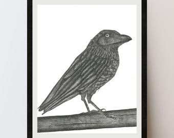 Crow Art Print, Black and White Bird Wall Art, Gothic Minimalist Decor