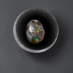 May include: An oval-shaped, polished stone with a speckled pattern of gray, brown, and iridescent green and orange hues, resting inside a dark, circular container. The container has a clear, textured rim and sits on a gray surface.