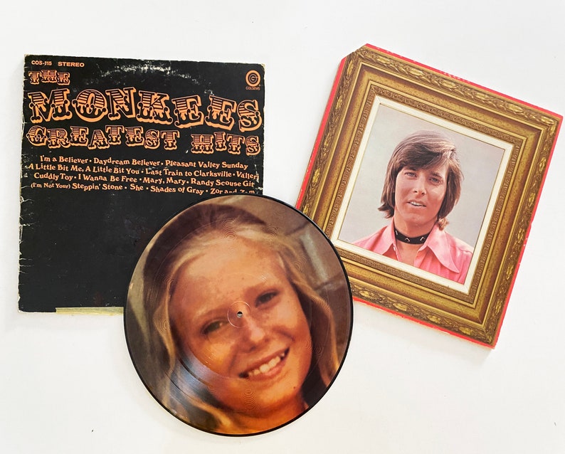 FUN Record Lot: Jan Brady PICTURE DISC 1970s Monkees Greatest Hits. Bobby Sherman Portrait of Bobby Johnny Rivers A touch of Gold 081 image 1