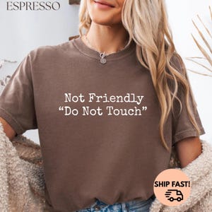 Not Friendly Do Not Touch Shirt Comfort Colors, Funny Sarcastic Tee, Adult Humor Shirt, Trendy Sarcasm Graphic Top