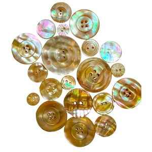 Puede incluir: Una colección de botones iridiscentes de nácar de varios tamaños. Los botones tienen un brillo nacarado con tonos dorados, rosas y verdes. Cada botón tiene dos o cuatro agujeros para coser. Los botones están dispuestos sobre un fondo blanco.