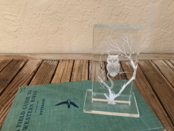 Vintage Acrylic Owl Paperweight