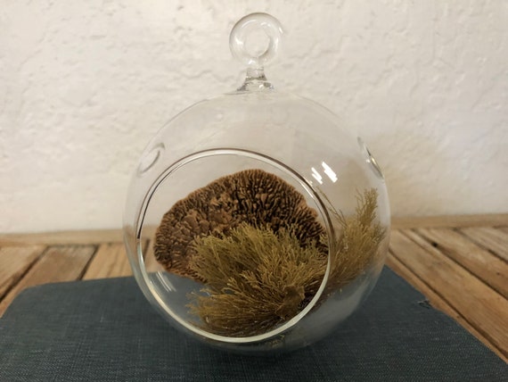 Vintage Glass Terrarium / Candle Holder