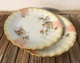 Set of Antique A & D Limoges France Floral Plates