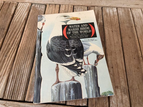 Vintage Book Titled Water and Marsh Birds Of The World