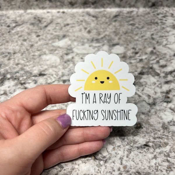 I'm a Ray of Fucking Sunshine Sticker or Magnet | Sassy Sticker | Water Bottle Sticker | Fridge Magnet