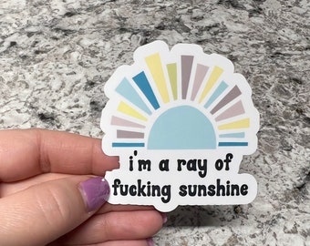 I'm a Ray of Fucking Sunshine Sticker | Sassy Sticker | Water Bottle Sticker | Fridge Magnet