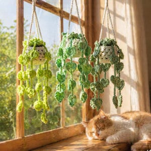 May include: Three hanging crochet plant holders with trailing green leaves. The holders are suspended by white cords and are filled with small green plants. A sleeping orange and white cat rests on a wooden windowsill.