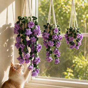 May include: Three hanging crochet planters with cascading purple flowers and green leaves. The planters are suspended by cream-colored cords. The background shows a window with sunlight and a cat reaching for the flowers.