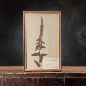 Könnte beinhalten: Rustikales Holzschild mit dem Text "Welcome to our home" in weißer Schrift. Das Schild hat eine Used-Optik und ein schlichtes, einladendes Design, perfekt für eine Veranda oder einen Eingangsbereich.