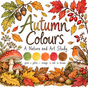 Könnte beinhalten: Ein Malbuch-Cover mit dem Titel Autumn Colours: A Nature and Art Study, das Illustrationen von rotkappigen Pilzen, einem Rotkehlchen auf einem Baumstamm, Eicheln und Herbstblättern zeigt. Eine Farbpalette zeigt grüne, gelbe, orange, rote und braune Kreise.