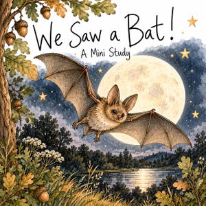 May include: A book cover titled We Saw a Bat! A Mini Study featuring a brown bat flying in front of a large full moon. The scene includes an oak tree with acorns, white wildflowers, a dark blue night sky with stars, and a lake landscape.