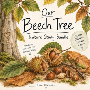 May include: A nature study bundle titled Our Beech Tree featuring watercolor illustrations of a beech tree trunk with a heart carving, green and brown leaves, and spiky beech nut husks containing brown nuts. Text includes Explore Observe Create Learn.
