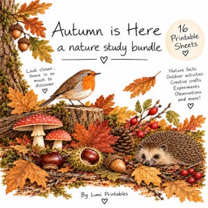 Peut inclure: Un ensemble d'étude de la nature intitulé Autumn is Here avec 16 feuilles imprimables. L'illustration montre un rouge-gorge, un hérisson, des champignons rouges et blancs, des glands et des feuilles d'automne. Texte inclus.