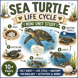 Pode incluir: Um cartaz educativo intitulado SEA TURTLE LIFE CYCLE MINI UNIT STUDY. Ilustra cinco etapas: 1 Eggs, 2 Hatchling, 3 Juvenile, 4 Adult e 5 Nesting Female. Inclui o texto: Learn the 5 amazing stages of a sea turtle's life! e 10+ PAGES.
