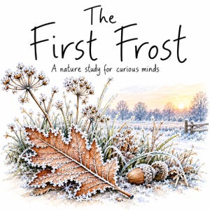May include: A watercolour illustration titled The First Frost A nature study for curious minds, featuring a large brown oak leaf, an acorn, and dried wildflowers covered in white frost against a winter sunrise landscape background.