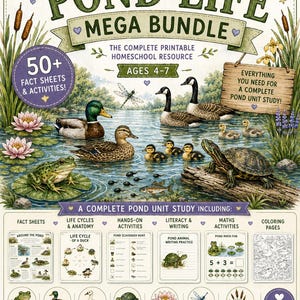 May include: A Pond Life Mega Bundle printable resource featuring a pond scene with ducks, geese, a frog, and a turtle. The text includes Pond Life Mega Bundle, 50+ Fact Sheets & Activities, and A Complete Pond Unit Study including fact sheets, activities, and coloring pages.
