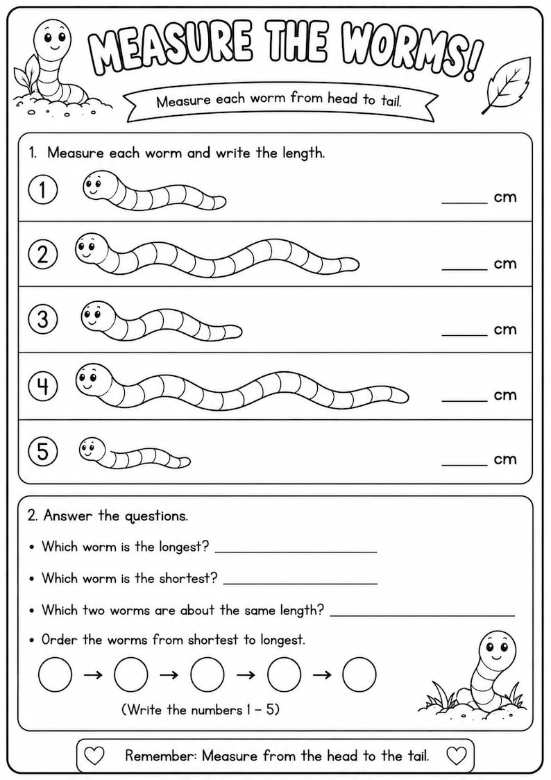 May include: A black and white educational worksheet titled MEASURE THE WORMS! featuring five numbered cartoon worms of varying lengths. The page includes instructions to measure each worm in cm, answer four questions, and order the worms by length.